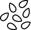Black Cumin