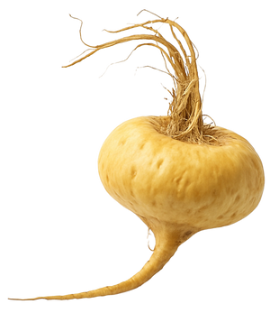 Maca